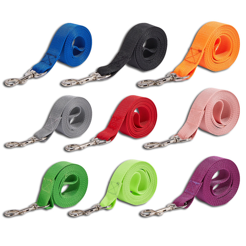애완동물 목줄 및 목걸이 세트, 튼튼한 개줄, 산책 훈 - Headcollar Rope Set 리뷰 및 가격