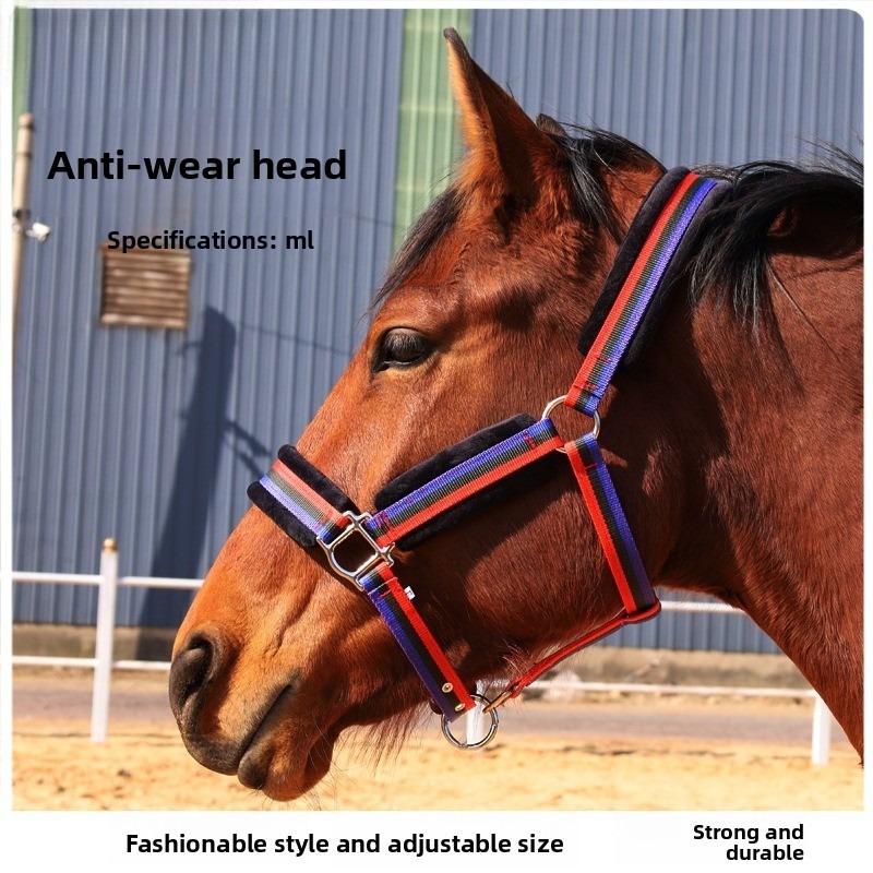 내구성 있는 섬유 소재 말 굴레 세트, 마모 방지 헤드 - Headcollar Rope Set 리뷰 및 가격
